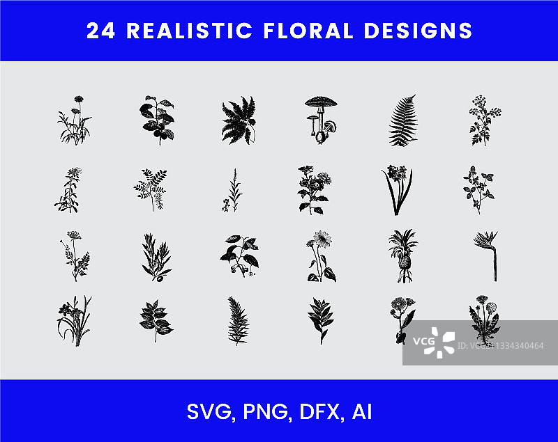 24种写实花卉设计图片素材