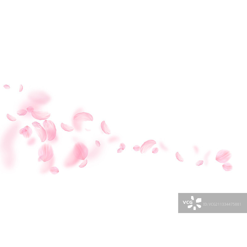 樱花花瓣飘落，浪漫的粉红色花朵图片素材