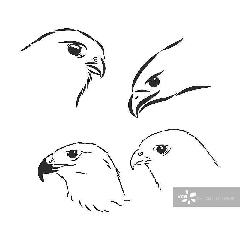 黑白素描鸟纹身艺术图片素材