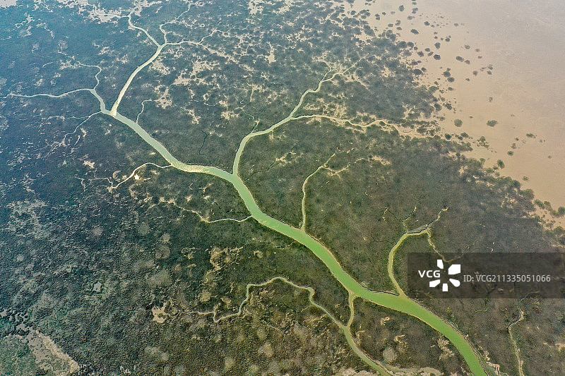航拍黄河三角洲潮汐树图片素材