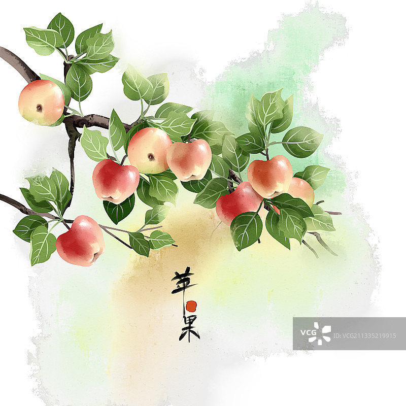 中国风水彩苹果插画图片素材