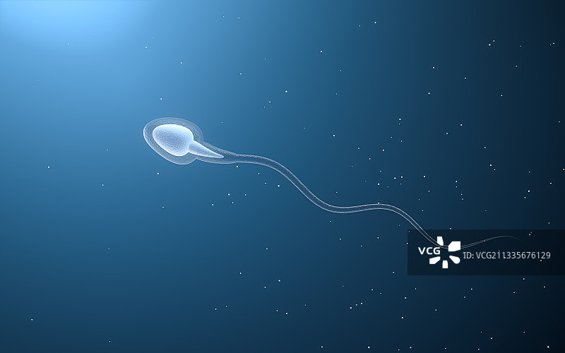 精子细胞 3D渲染图片素材
