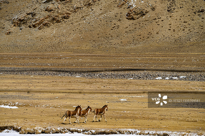 西藏阿里：秘境阿里三月风光图片素材