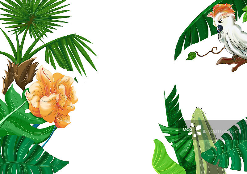 小清新卡通雨林鹦鹉场景插画图片素材