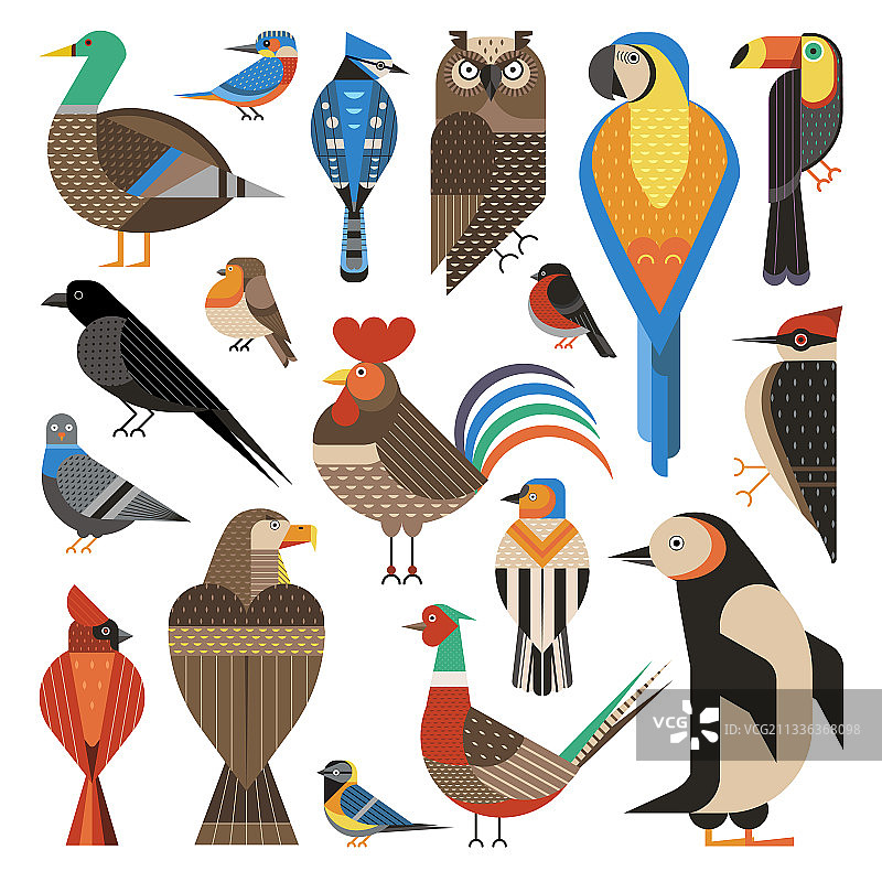 广泛分布的普通鸟类呈几何状扁平图片素材