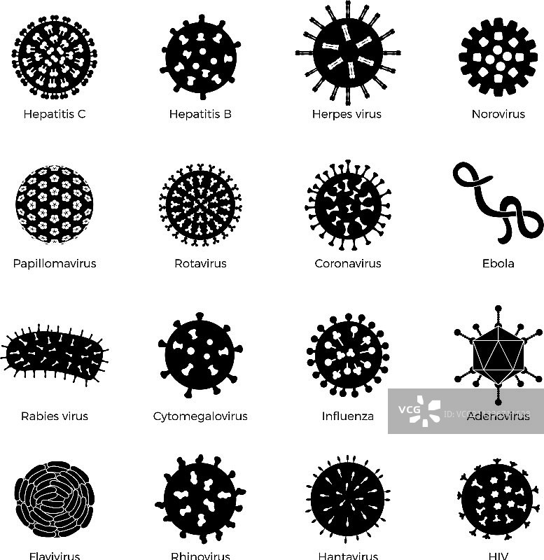 细菌设置芽孢杆菌标志人类微生物图片素材