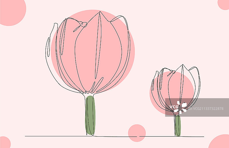 粉红色花瓣的花背景图片素材