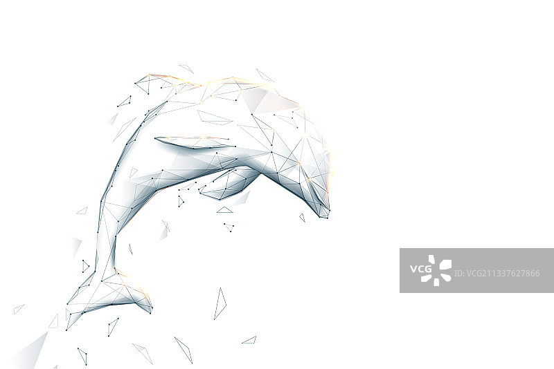 海豚跳低聚几何线图片素材