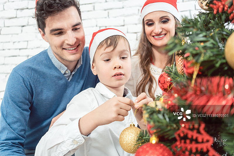 儿子帮助家人用红色和金色的装饰品装饰圣诞树图片素材