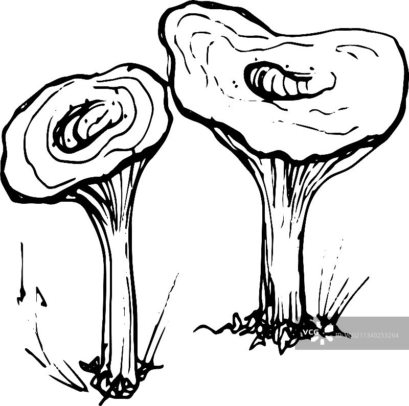 蘑菇蘑菇菜单图形手图片素材