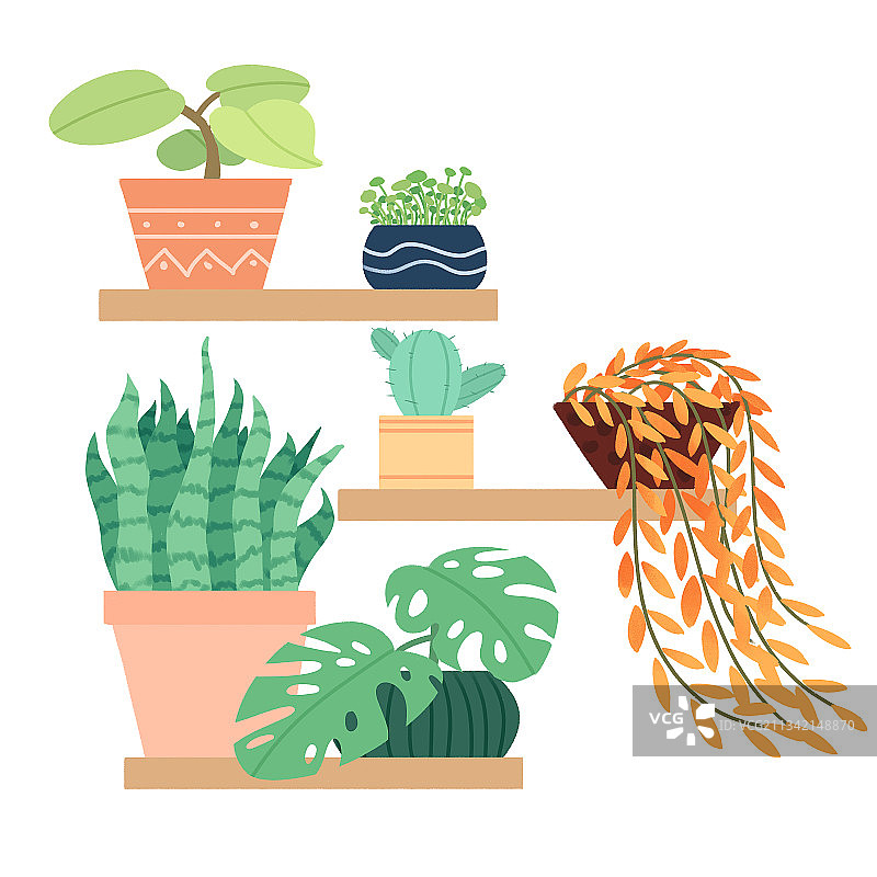 扁平盆栽植物花架插画绘画图片素材