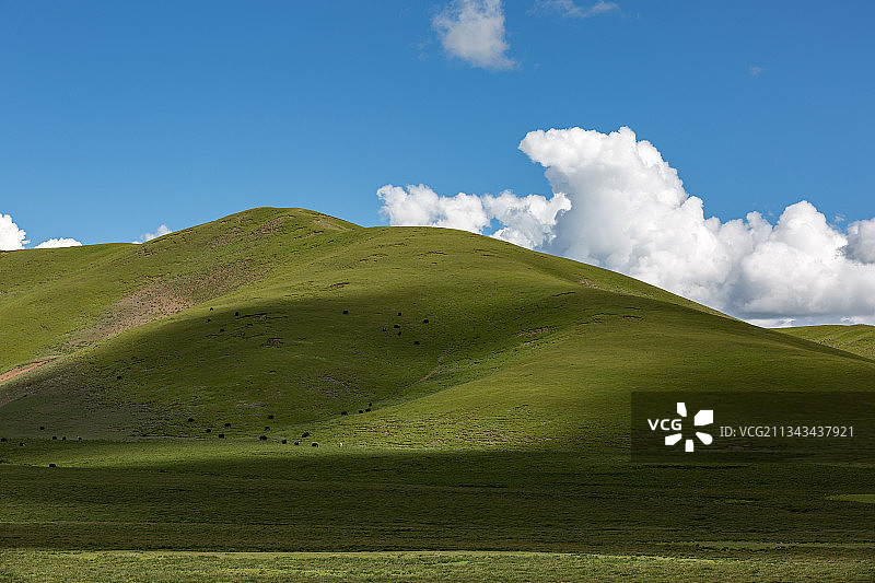 西藏那曲市比如县大草原自然风光图片素材