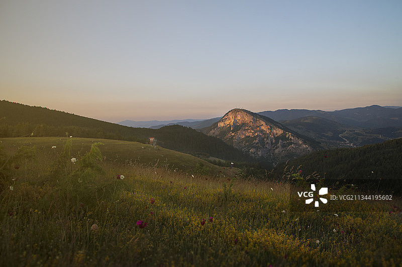 保加利亚，在晴朗的天空下田野的风景图片素材