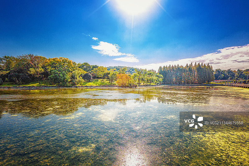 正午阳光下的秋景+白马石刻公园（南京）图片素材