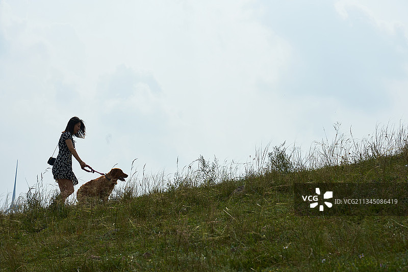 青年女人牵着宠物狗在草原上图片素材