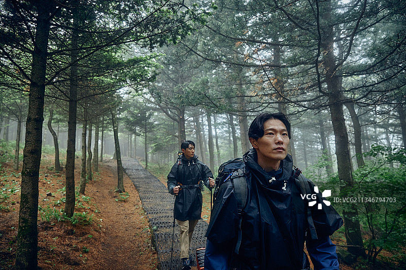 男性，小径，森林，旅行，背包客，徒步旅行图片素材