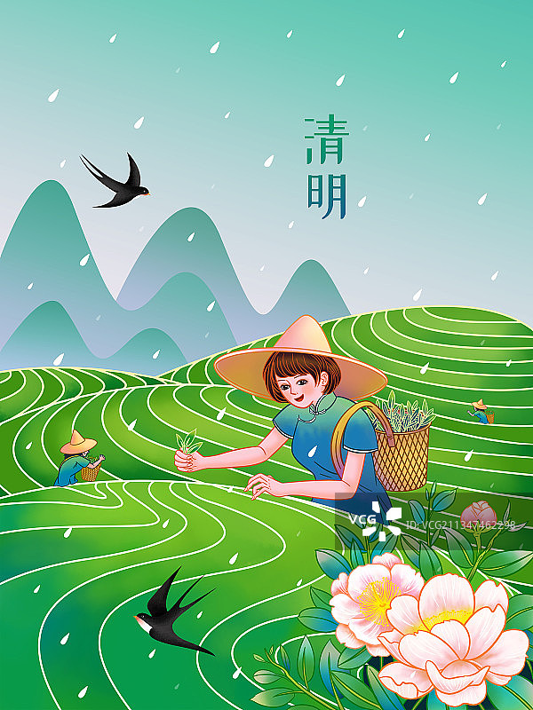 清明节下雨采茶茶园风景插画海报图片素材