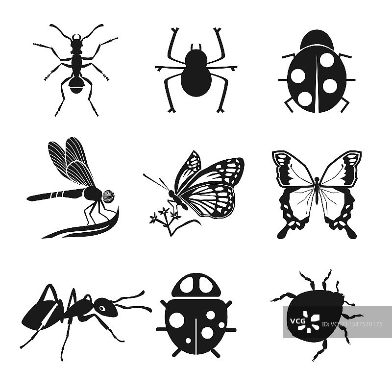 昆虫图标设置与蜘蛛蝴蝶蚂蚁图片素材