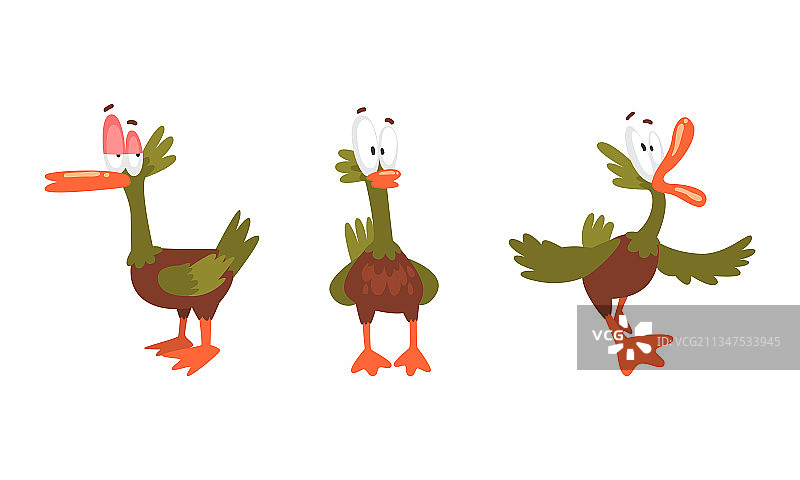 有趣的绿色嬉水鸭角色如羽毛图片素材