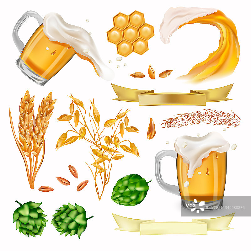 啤酒花穗小麦大麦谷物小麦啤酒图片素材