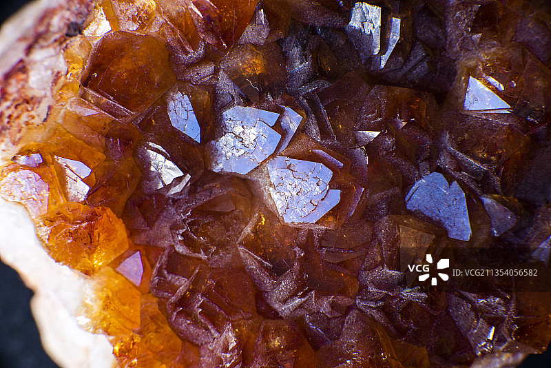 冰冻树叶的特写镜头图片素材
