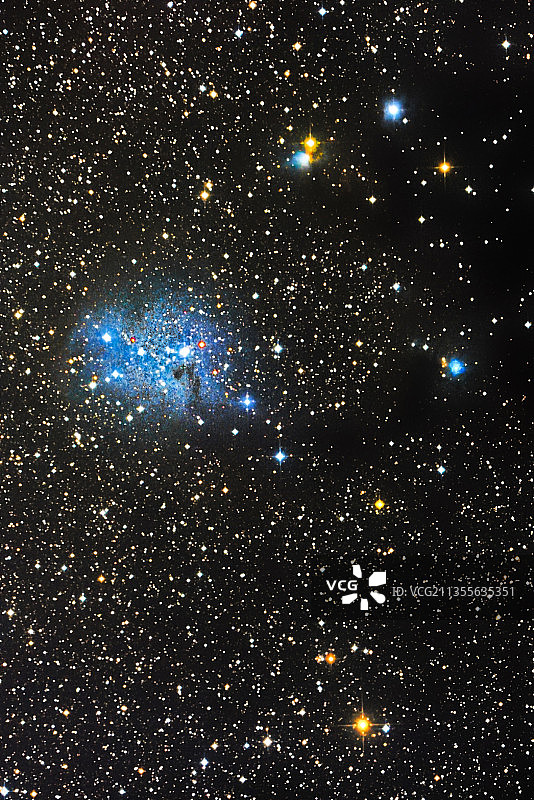麒麟座IC2169图片素材