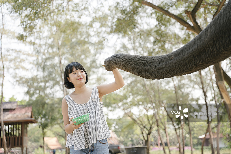 生态旅游-美女波波头发型喂大象从鼻子。图片素材