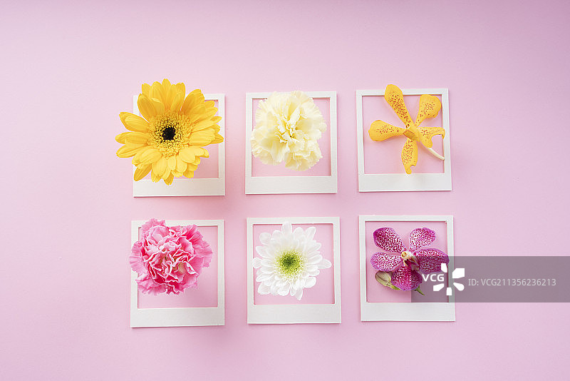 白色模拟框架与各种花在粉红色的背景。前视图。图片素材