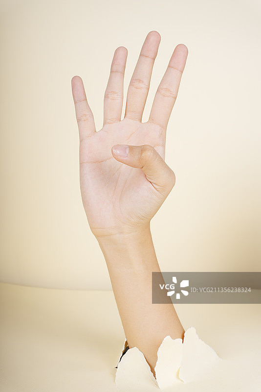 女性手显示4个手指手势孤立在白色背景上。图片素材
