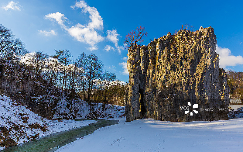 捷克共和国，斯卢普，天空映衬着白雪覆盖的田野上的树木图片素材
