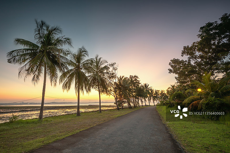 印度尼西亚巴淡，日落时分，空无一人的棕榈树道路图片素材