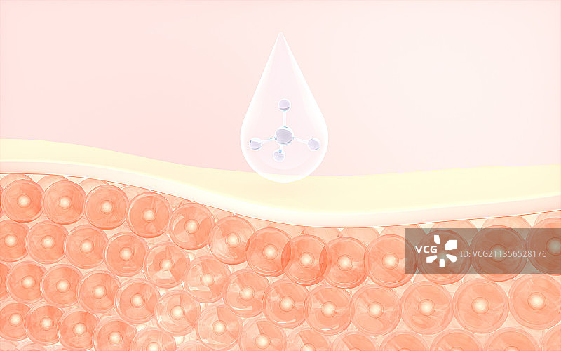 皮肤细胞与吸收的液滴 3D渲染图片素材