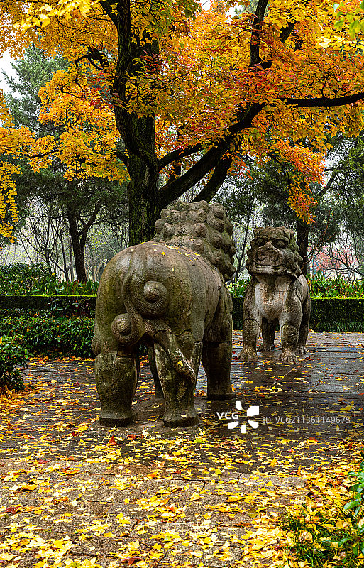 冬日清晨雨中雨后的南京明孝陵神像道景观图片素材