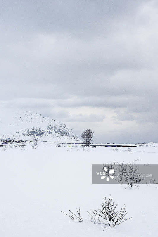 罗浮敦的北极条件，挪威罗浮敦白雪覆盖的天空景色图片素材