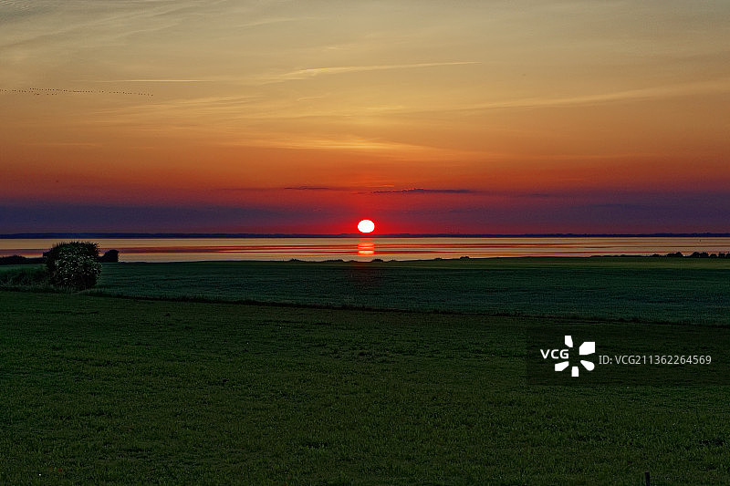 鸟儿在日落时飞回家，日落时海天景色，丹麦图片素材