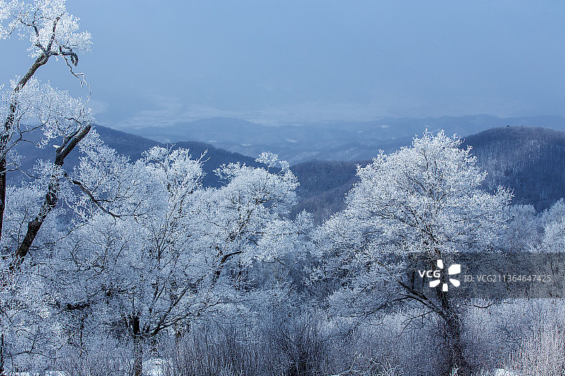 冬季里的高山雪景图片素材