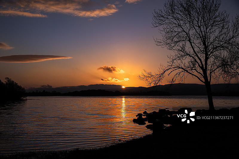 Mac Nean Lower湖，日落时在天空映衬下的湖边树木的剪影，Belcoo，恩尼斯基伦，英国，英国图片素材