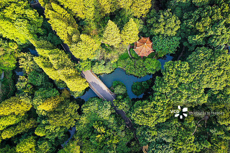 航拍东湖植物园图片素材