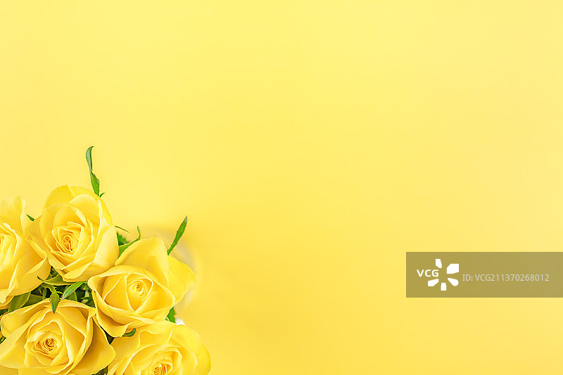 新鲜的黄色玫瑰花束，黄色背景下黄色玫瑰的特写图片素材