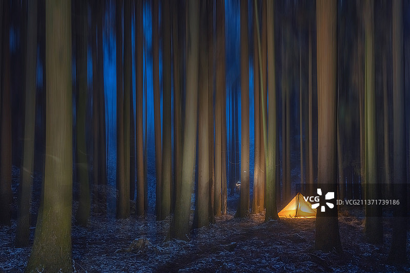 夜晚树林里的露营地帐篷图片素材