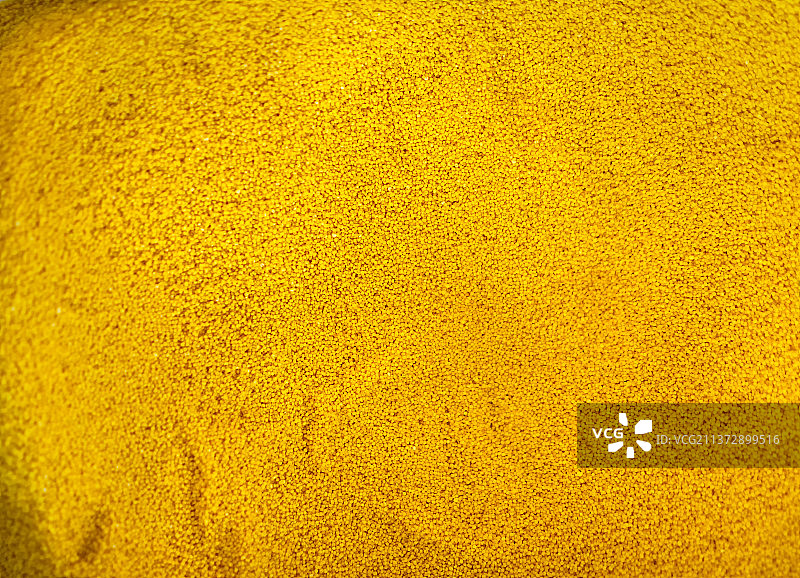 中国五谷杂粮拍摄主题，正上方视角拍摄一堆金黄色的小米米粒，户外无人图像摄影图片素材