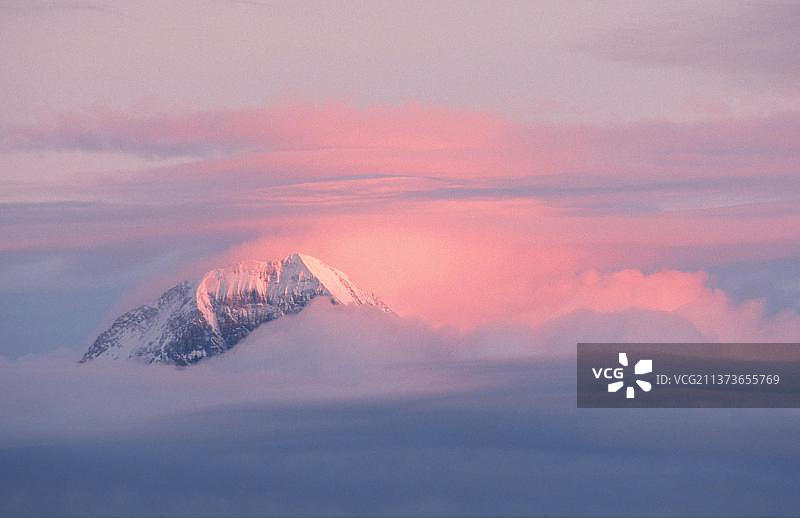 阿尔卑斯山的山峰和云朵在傍晚的光线(Eiger Moench)，伯尔尼高原(黄昏)(黄昏)(欧洲)(风景)(风景)(风景)(山脉)(风景)(水平)，从尼德霍恩，瑞士，欧洲图片素材