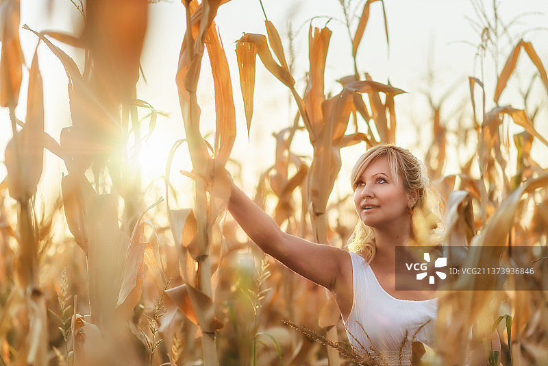 一位身着白色夏装的女子走在玉米地里图片素材