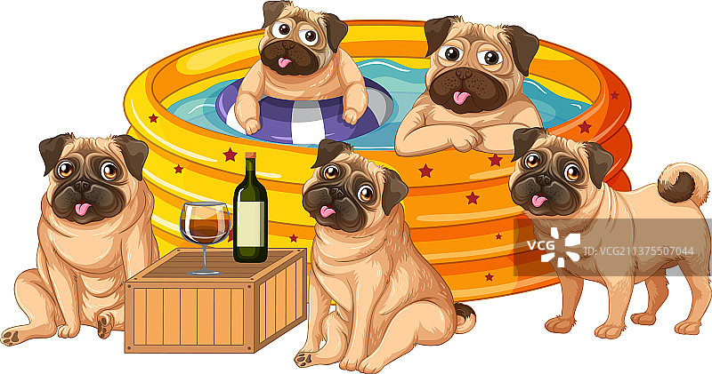 可爱的小狗狗在橡胶游泳池聚会图片素材
