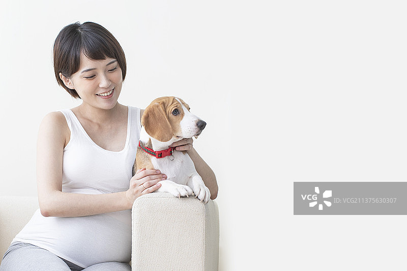 孕妇搂着宠物狗坐在沙发上微笑图片素材