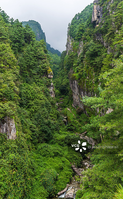 云南大理苍山国家森林公园的自然风景图片素材