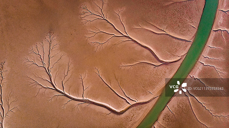 黄河口湿地保护区支流密布，仿若大地的脉络图片素材