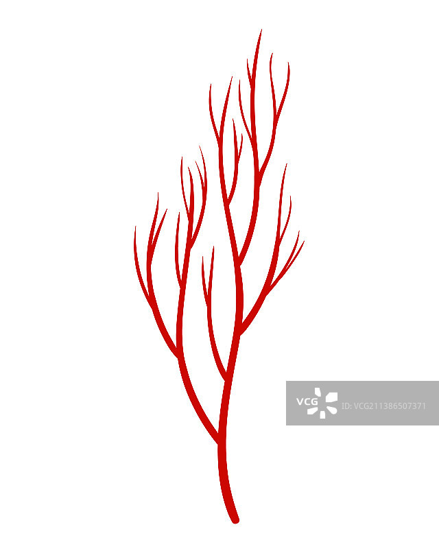 人体静脉呈红色廓形，血管或动脉图片素材