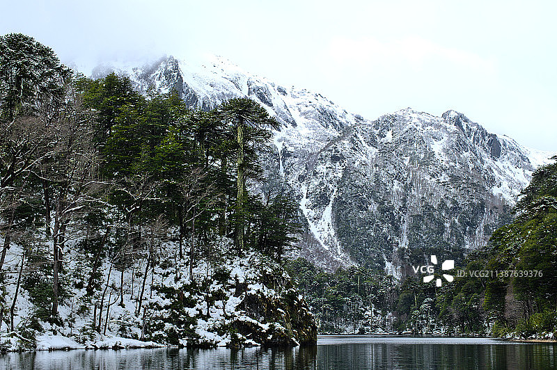树木映衬天空的湖风景，胡尔克胡国家公园，智利图片素材