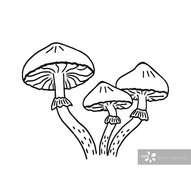 蜂蜜蘑菇用于打印背景图片素材